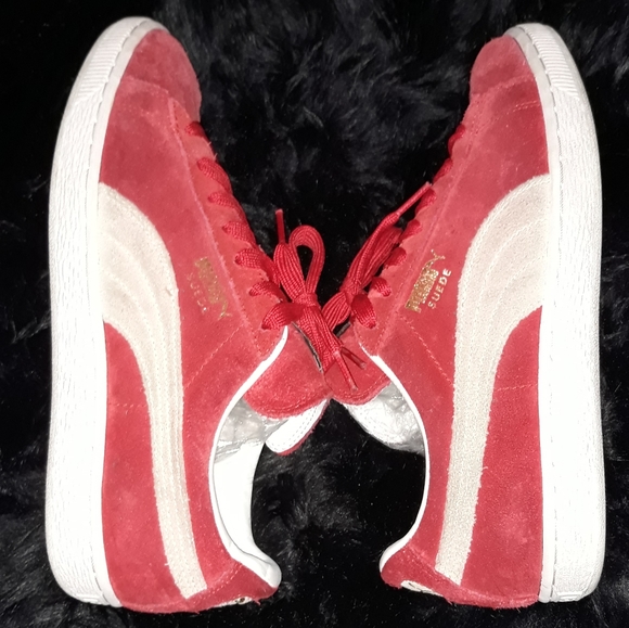 Puma - Picture 4 of 4